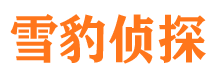 沙坪坝市婚姻出轨调查